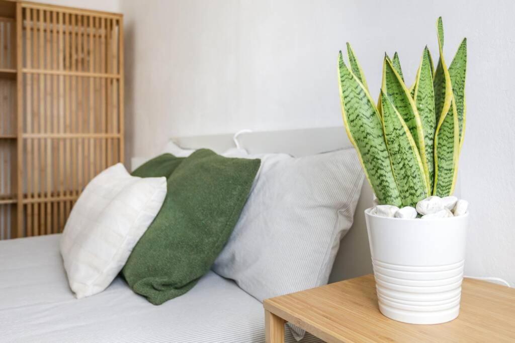 Tommy'S Flat Apartment เมสเตร ภายนอก รูปภาพ